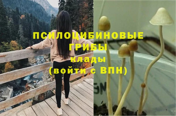 стаф Пересвет