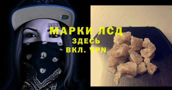 стафф Осташков