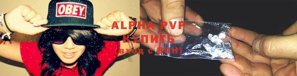 стаф Пересвет