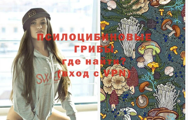 стаф Пересвет