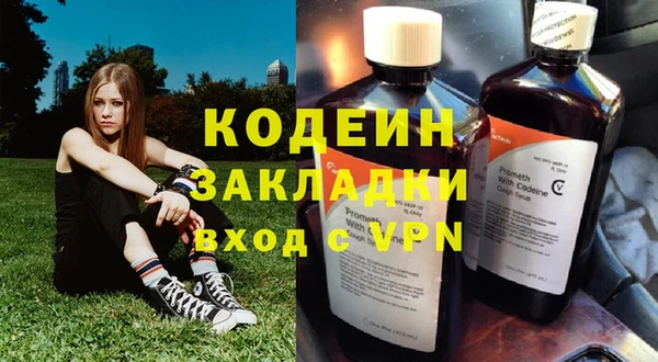 стаф Пересвет