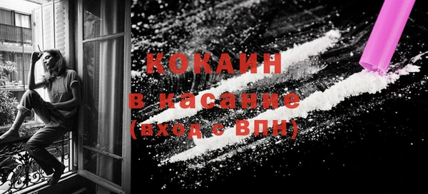 стафф Осташков