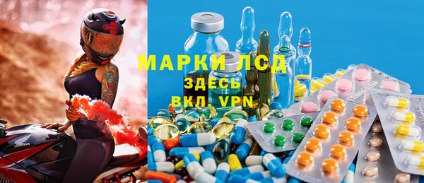 стафф Осташков