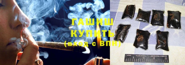 стаф Пересвет