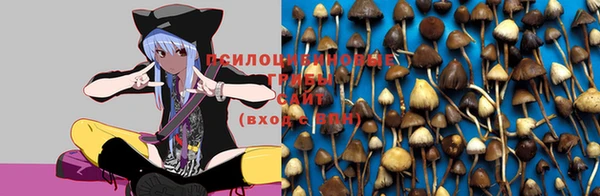 прущая мука Пестово