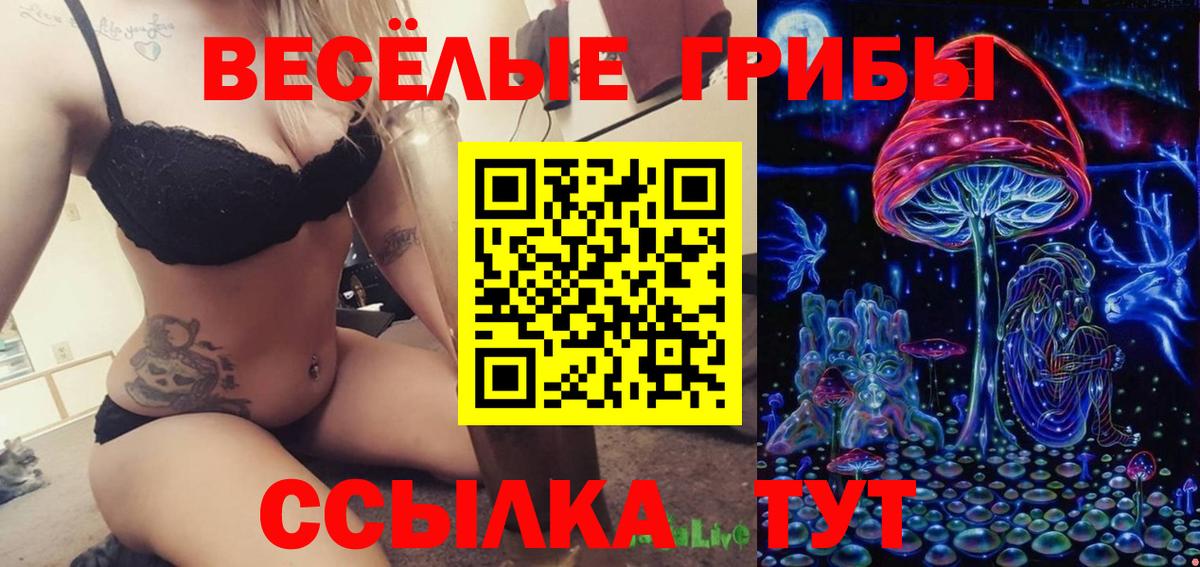 Галлюциногенные грибы Magic Shrooms  Псилоцибиновые грибы Cubensis  Вход с VPN  Павловский Посад 